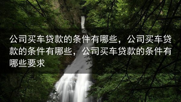 公司买车贷款的条件有哪些，公司买车贷款的条件有哪些，公司买车贷款的条件有哪些要求