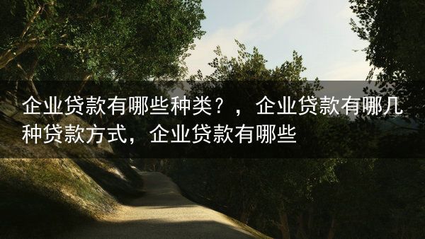 企业贷款有哪些种类？，企业贷款有哪几种贷款方式，企业贷款有哪些