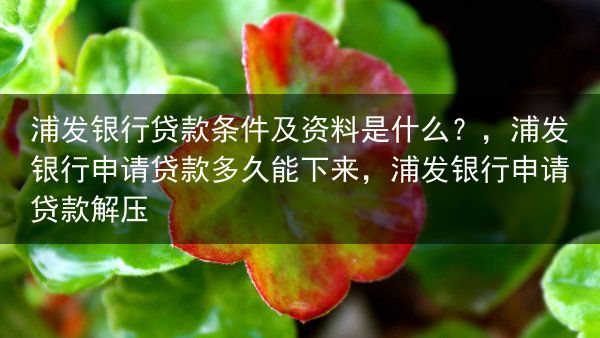 浦发银行贷款条件及资料是什么？，浦发银行申请贷款多久能下来，浦发银行申请贷款解压