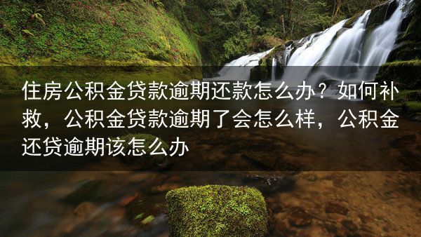 住房公积金贷款逾期还款怎么办？如何补救，公积金贷款逾期了会怎么样，公积金还贷逾期该怎么办