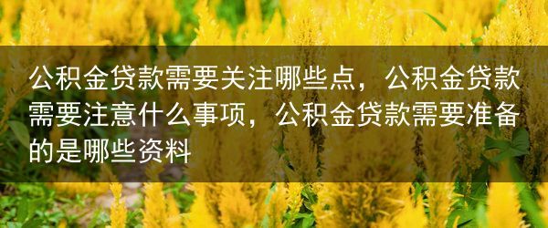 公积金贷款需要关注哪些点，公积金贷款需要注意什么事项，公积金贷款需要准备的是哪些资料