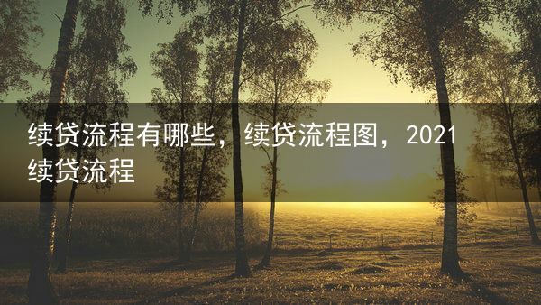 续贷流程有哪些，续贷流程图，2021续贷流程