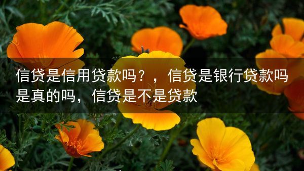 信贷是信用贷款吗？，信贷是银行贷款吗是真的吗，信贷是不是贷款
