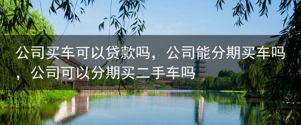 公司买车可以贷款吗，公司能分期买车吗，公司可以分期买二手车吗