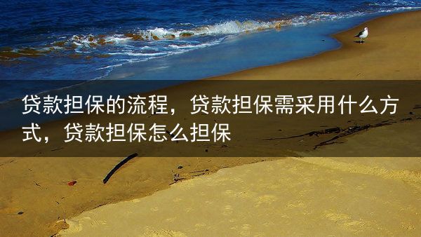 贷款担保的流程，贷款担保需采用什么方式，贷款担保怎么担保