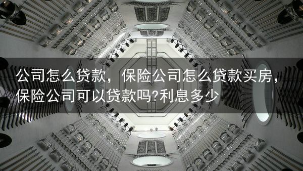 公司怎么贷款