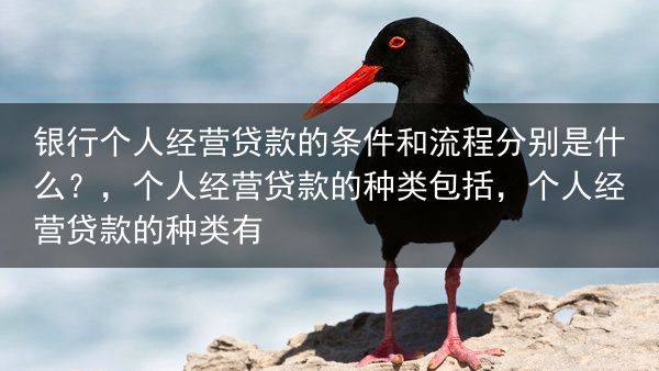 银行个人经营贷款的条件和流程分别是什么？，个人经营贷款的种类包括，个人经营贷款的种类有