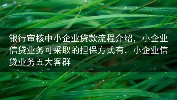 银行审核中小企业贷款流程介绍，小企业信贷业务可采取的担保方式有，小企业信贷业务五大客群