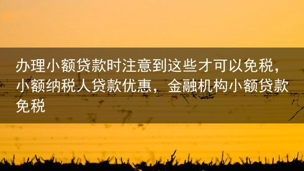 办理小额贷款时注意到这些才可以免税，小额纳税人贷款优惠，金融机构小额贷款免税