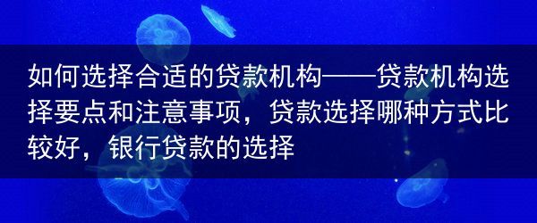 如何选择合适的贷款机构——贷款机构选择要点和注意事项，贷款选择哪种方式比较好，银行贷款的选择