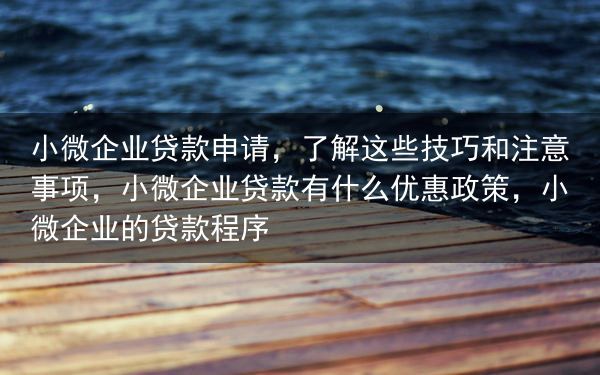 小微企业贷款申请，了解这些技巧和注意事项，小微企业贷款有什么优惠政策，小微企业的贷款程序
