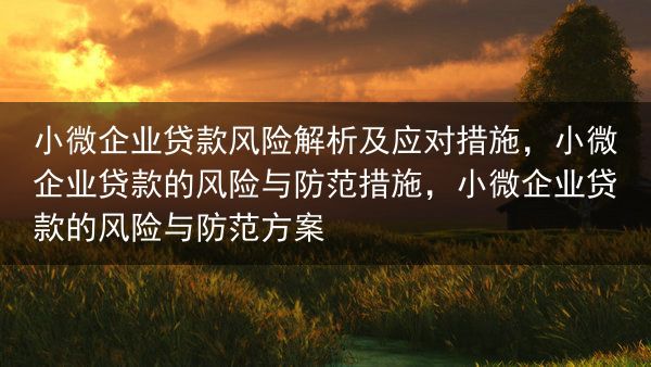 小微企业贷款风险解析及应对措施，小微企业贷款的风险与防范措施，小微企业贷款的风险与防范方案