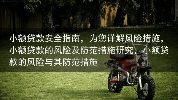 小额贷款安全指南，为您详解风险措施，小额贷款的风险及防范措施研究，小额贷款的风险与其防范措施