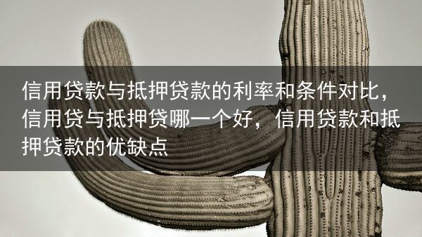 信用贷款与抵押贷款的利率和条件对比，信用贷与抵押贷哪一个好，信用贷款和抵押贷款的优缺点