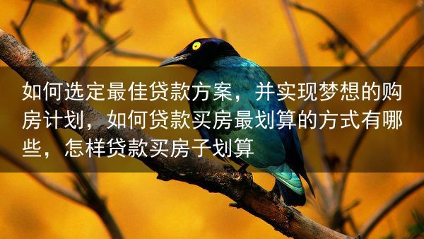 如何选定最佳贷款方案，并实现梦想的购房计划，如何贷款买房最划算的方式有哪些，怎样贷款买房子划算
