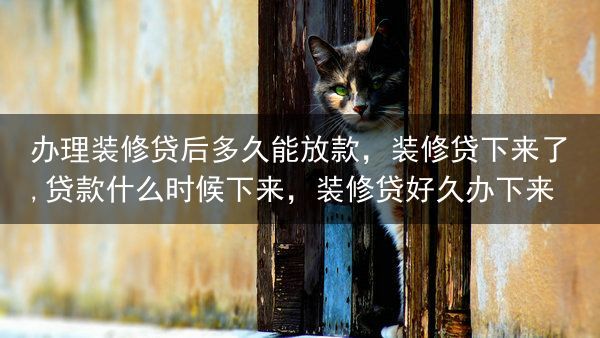 办理装修贷后多久能放款，装修贷下来了,贷款什么时候下来，装修贷好久办下来