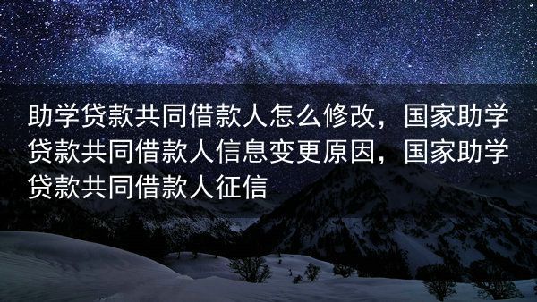 助学贷款共同借款人怎么修改