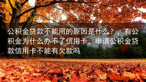 公积金贷款不能用的原因是什么？，有公积金为什么办不了信用卡，申请公积金贷款信用卡不能有欠款吗