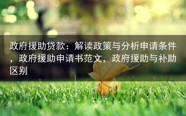 政府援助贷款：解读政策与分析申请条件，政府援助申请书范文，政府援助与补助区别