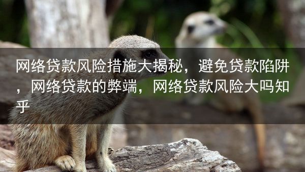 网络贷款风险措施大揭秘，避免贷款陷阱，网络贷款的弊端，网络贷款风险大吗知乎