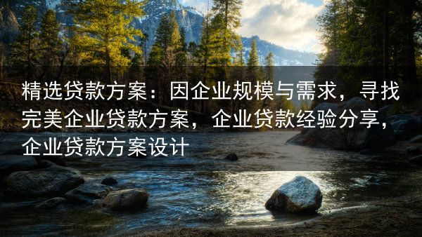 精选贷款方案：因企业规模与需求，寻找完美企业贷款方案，企业贷款经验分享，企业贷款方案设计