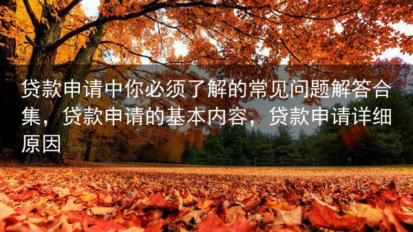 贷款申请中你必须了解的常见问题解答合集，贷款申请的基本内容，贷款申请详细原因