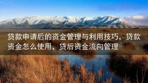 贷款申请后的资金管理与利用技巧，贷款资金怎么使用，贷后资金流向管理