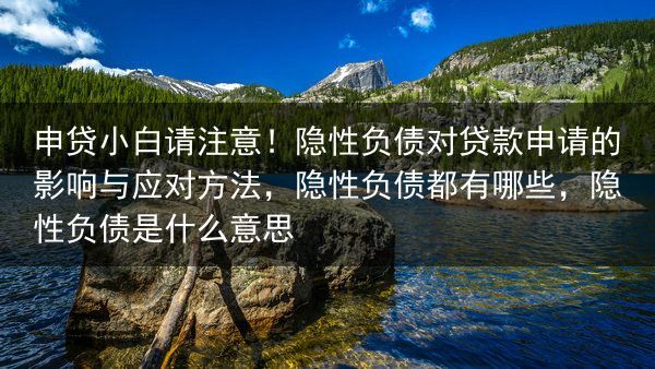 申贷小白请注意！隐性负债对贷款申请的影响与应对方法，隐性负债都有哪些，隐性负债是什么意思