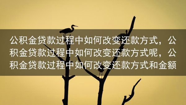 公积金贷款过程中如何改变还款方式，公积金贷款过程中如何改变还款方式呢，公积金贷款过程中如何改变还款方···