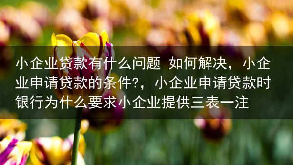 小企业贷款有什么问题 如何解决，小企业申请贷款的条件?，小企业申请贷款时银行为什么要求小企业提供三表···