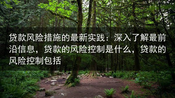 贷款风险措施的最新实践：深入了解最前沿信息，贷款的风险控制是什么，贷款的风险控制包括