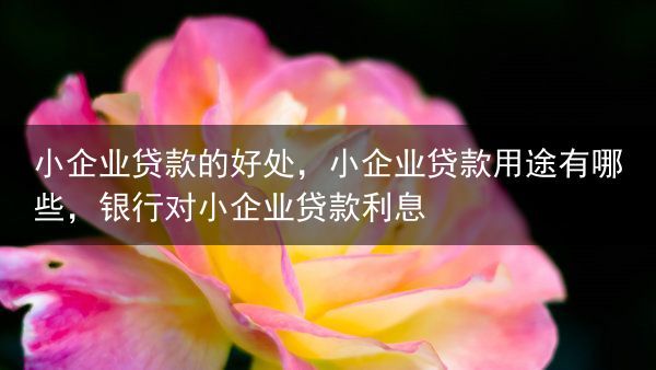 小企业贷款的好处，小企业贷款用途有哪些，银行对小企业贷款利息