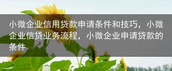 小微企业信用贷款申请条件和技巧，小微企业信贷业务流程，小微企业申请贷款的条件