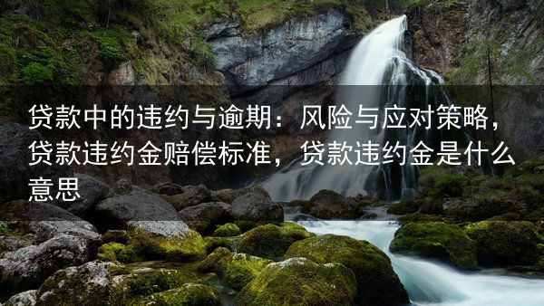 贷款中的违约与逾期：风险与应对策略，贷款违约金赔偿标准，贷款违约金是什么意思