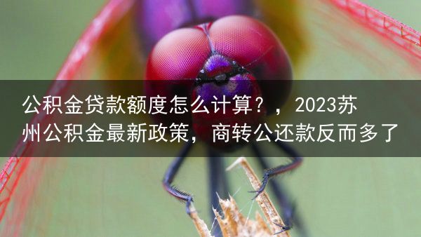 公积金贷款额度怎么计算？，2023苏州公积金最新政策，商转公还款反而多了