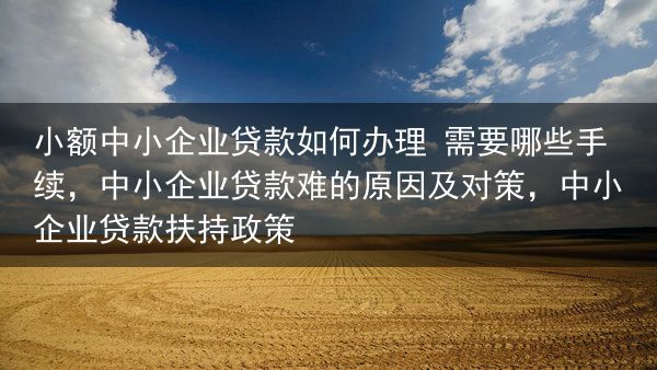 小额中小企业贷款如何办理 需要哪些手续
