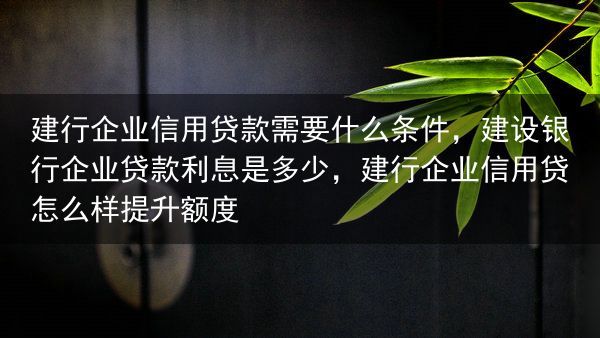建行企业信用贷款需要什么条件，建设银行企业贷款利息是多少，建行企业信用贷怎么样提升额度