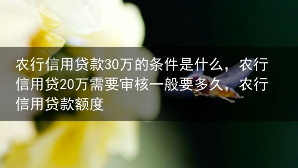 农行信用贷款30万的条件是什么