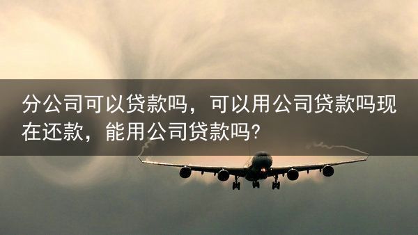 分公司可以贷款吗，可以用公司贷款吗现在还款，能用公司贷款吗?