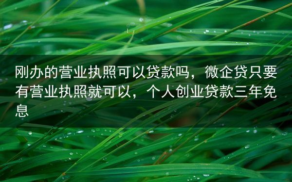 刚办的营业执照可以贷款吗，微企贷只要有营业执照就可以，个人创业贷款三年免息