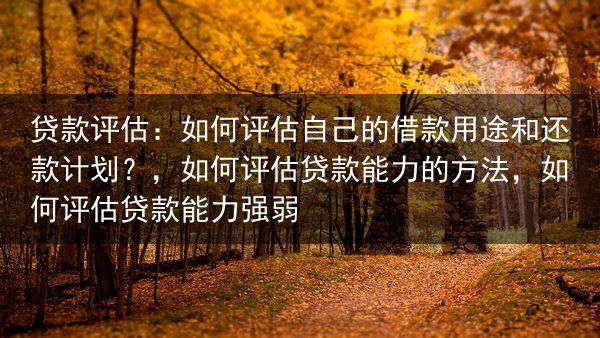 贷款评估：如何评估自己的借款用途和还款计划？，如何评估贷款能力的方法，如何评估贷款能力强弱