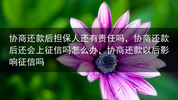 协商还款后担保人还有责任吗，协商还款后还会上征信吗怎么办，协商还款以后影响征信吗