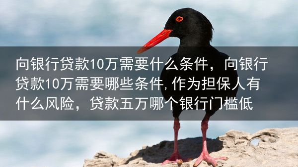 向银行贷款10万需要什么条件，向银行贷款10万需要哪些条件,作为担保人有什么风险，贷款五万哪个银行门···