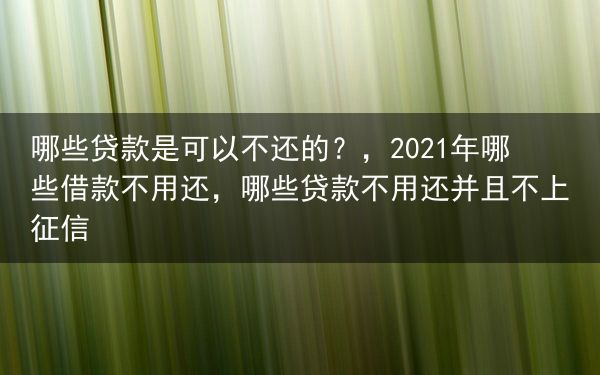 哪些贷款是可以不还的？，2021年哪些借款不用还，哪些贷款不用还并且不上征信