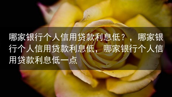 哪家银行个人信用贷款利息低？，哪家银行个人信用贷款利息低，哪家银行个人信用贷款利息低一点