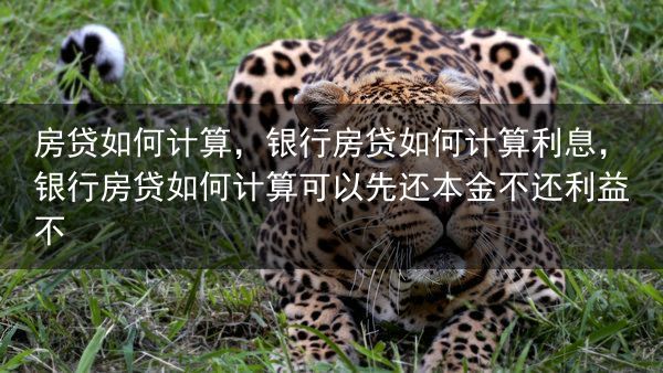 房贷如何计算，银行房贷如何计算利息，银行房贷如何计算可以先还本金不还利益不