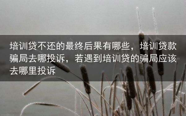 培训贷不还的最终后果有哪些，培训贷款骗局去哪投诉，若遇到培训贷的骗局应该去哪里投诉