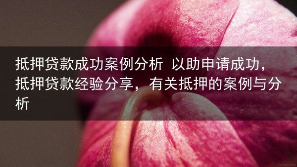 抵押贷款成功案例分析 以助申请成功，抵押贷款经验分享，有关抵押的案例与分析