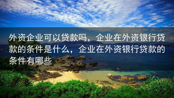外资企业可以贷款吗