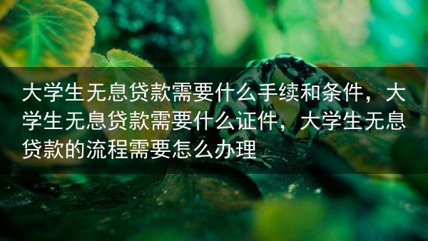 大学生无息贷款需要什么手续和条件，大学生无息贷款需要什么证件，大学生无息贷款的流程需要怎么办理